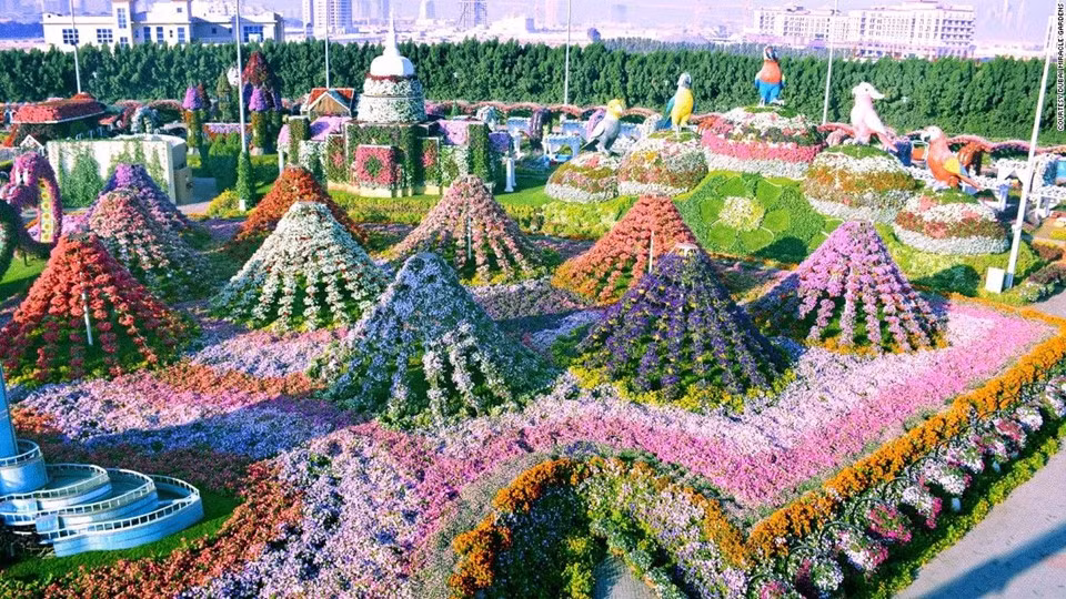 Dubai Miracle Gardens được Guinness vinh danh ở hạng mục “Vườn thẳng đứng rộng nhất thế giới” vào năm 2013.