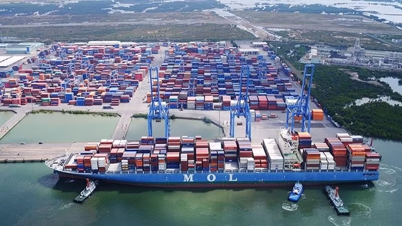 BR-VT: Gói thầu cây xanh 19 tỷ đồng bao giờ có kết quả? - Hình 2 BR-VT: Goi thau cay xanh 19 ty dong bao gio co ket qua?-Hinh-2