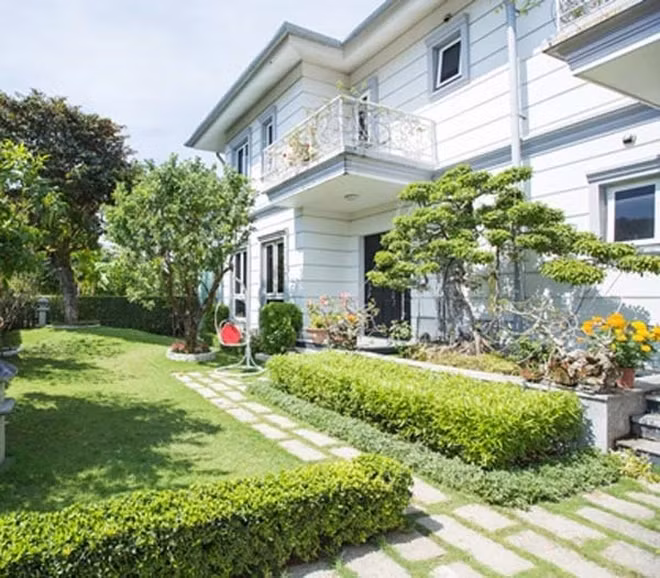 Căn nhà được phủ một màu xanh mát của cây cối. Hồ Quỳnh Hương trồng hàng cây cảnh nối tiếp ở hàng rào, thường xuyên được cắt tỉa gọn gàng. Ảnh: Internet