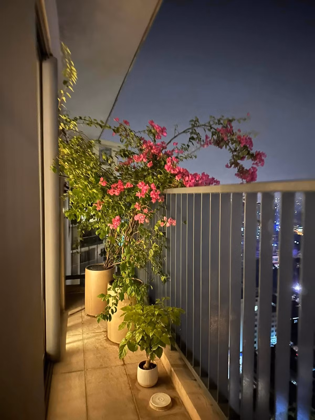 Ban công trong căn penthouse của MC Thành Trung thoáng đãng, đặt vài chậu hoa, cây cảnh với nhiều kích cỡ to nhỏ khác nhau.