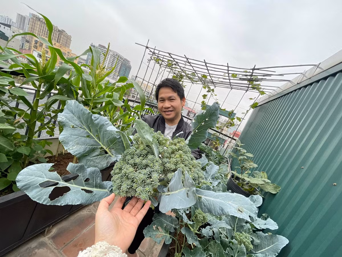 Trên sân thượng, gia đình nam ca sĩ vừa trồng hoa, vừa trồng rau sạch phục vụ nhu cầu của gia đình.