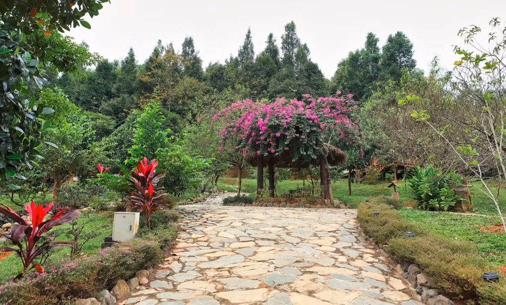 Việt Hoàn từng có ý định xây dựng trang trại này thành khu nghỉ dưỡng. Ảnh: Dân trí