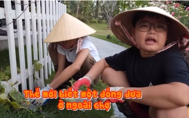 Vợ Xuân Bắc tận dụng các khu vực trong vườn để trồng một số loại rau củ như: rau muống, bí, dưa... Ảnh chụp màn hình