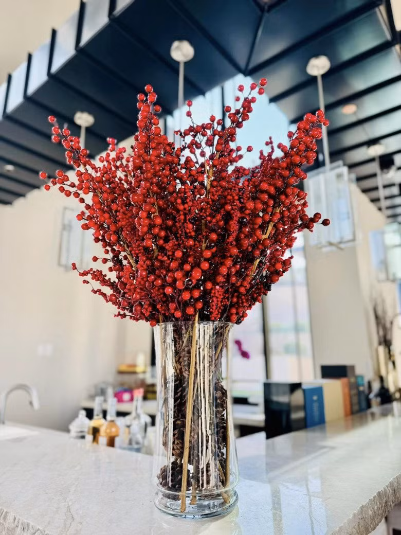 Đào đông đỏ cho năm mới sung túc, đầy đủ.