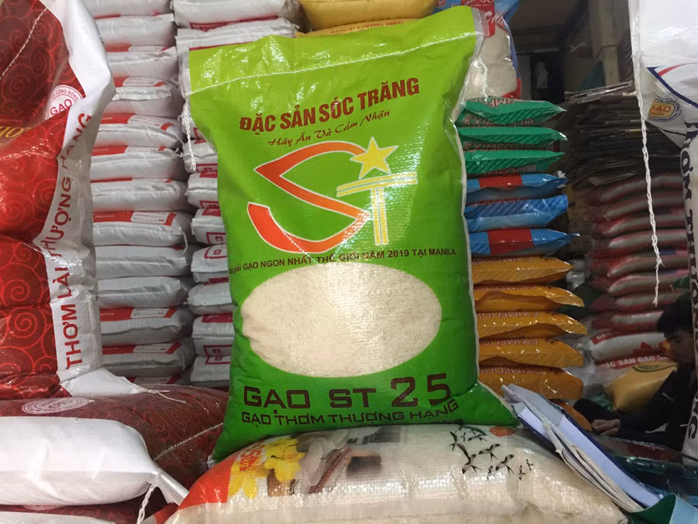 Dòng ST25 mới không có dạng hình nổi trội bởi cây lúa thấp, hơi xiên nhưng ít đổ ngã, trổ sớm hơn 5 ngày nhưng chín cùng lúc với dòng 68-10 nên có cùng chu kỳ sinh trưởng. Hạt gạo ST25 dòng mới ngắn hơn dòng cũ khoảng 0,2mm. Ảnh: Vietnamnet
