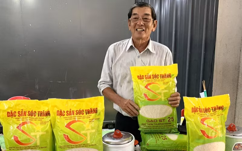 Theo kỹ sư Hồ Quang Cua, giống gạo ST25 hiện nay (dòng 72-6) là kết quả nghiên cứu, chọn lọc bằng cách trồng thuần từng cá thể lúa, khác với ST25 đã đi thi năm 2019 (dòng 68-10). Ảnh: Vino