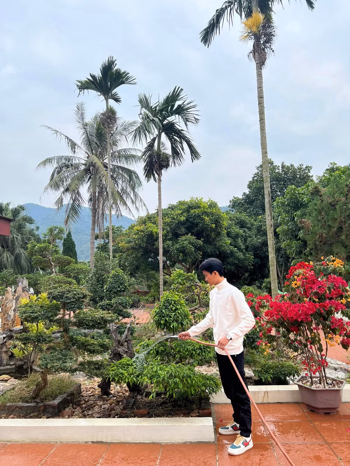 Sân lát gạch đỏ, có nhiều cây cảnh.