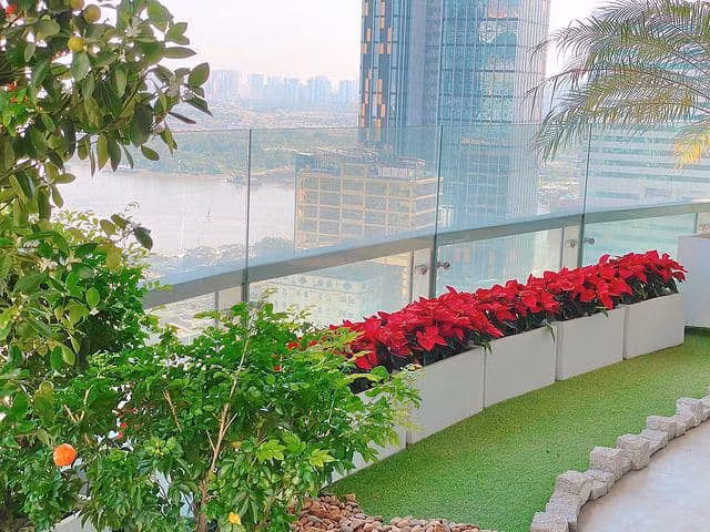 Nàng hậu trồng nhiều cây cảnh và hoa tại ban công. Ảnh: FBNV