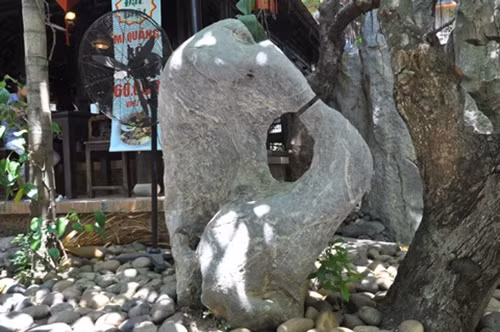 Dưới gốc sung hàng trăm năm tuổi là tảng đá tự nhiên mang hình hài chim mẹ đang mớm mồi cho chim con. Ảnh: Vietnamnnet