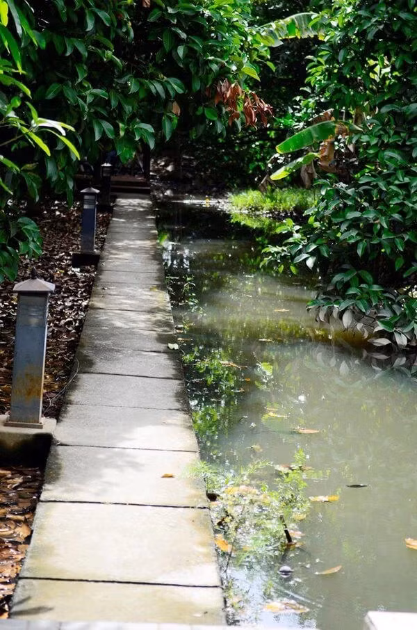 Để thuận tiện cho việc tưới tiêu cây trái, Việt Trinh cho thợ đào một con kênh nhỏ, dẫn nước cho vườn.