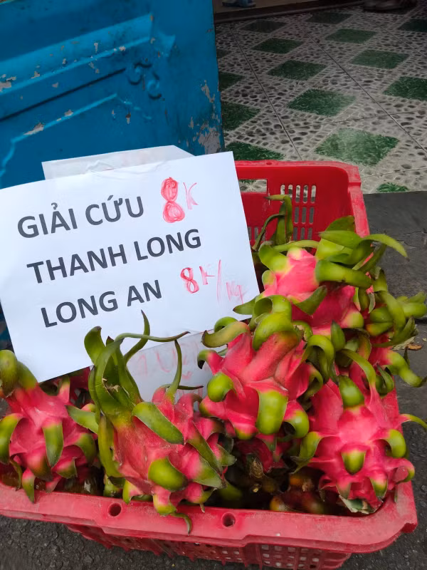 Ở nước ta, thanh long giá bán chỉ vài chục ngàn đồng/kg. Thậm chí có thời điểm thanh long quá nhiều không ai mua, giá còn xuống mức chỉ vài ngàn đồng/kg. Ảnh: Cand