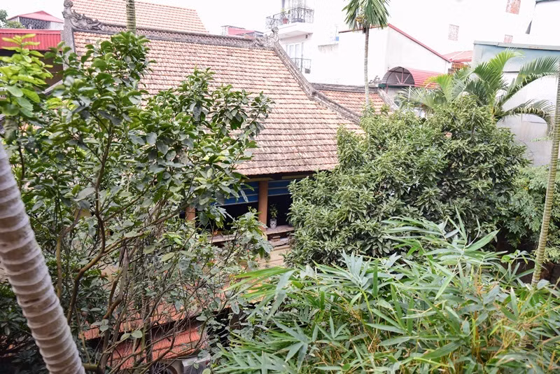 Khu vườn trồng rất nhiều cây xanh. Ảnh: Viẹtnamnet