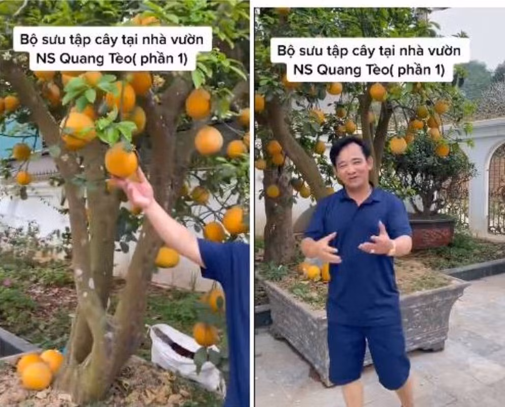 Trong vườn, nam nghệ sĩ còn trồng cây ăn quả. Ảnh chụp màn hình