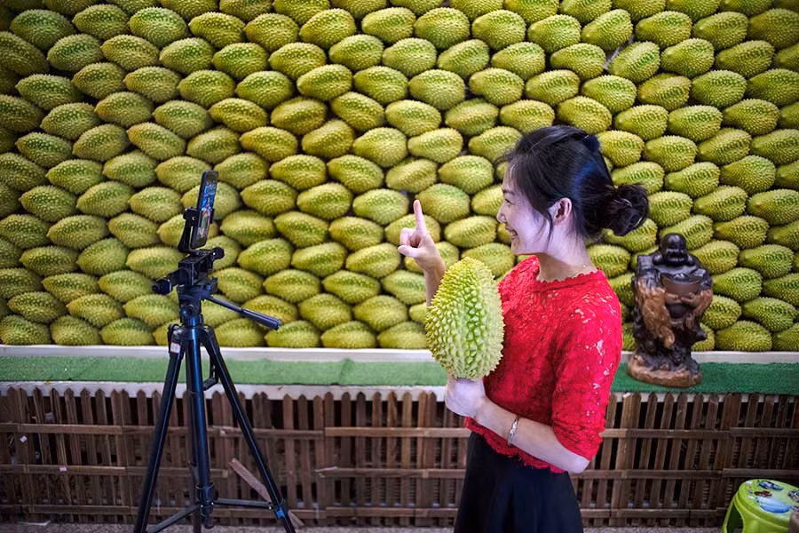 Với nguồn cung dồi dào, người dân làng Nghĩa Ô đã tận dụng lợi thế này, mang các nông sản tại làng mình đến trung tâm bán buôn hàng hóa livestream.