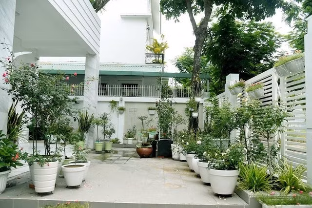 Khoảng sân phía trước đặt nhiều chậu cây và hoa đẹp mắt.