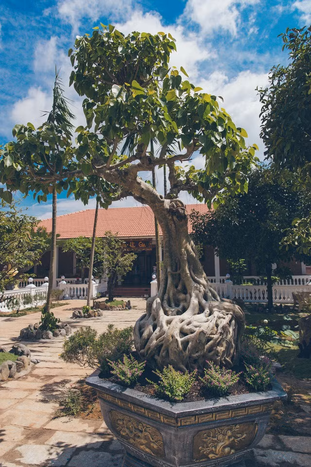 Để hoàn thành công trình kịp ngày đã định, Lý Nhã Kỳ không ngại làm ngày đêm cùng các công nhân. Người đẹp tham gia đẩy xe, trực tiếp phụ khiêng và hỗ trợ vận chuyển đồ... Ảnh: Tổ quốc
