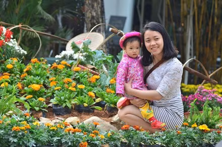  Lễ hội hoa xuân 2017 với chủ đề "Từ cổ tích đến tương lai” được đầu tư kinh phí lớn với nhiều loài hoa được sắp đặt một cách nghệ thuật, trải dài trên diện tích 54ha của khu đô thị Ecopark thu hút hàng nghìn người đến thăm quan, vui chơi.