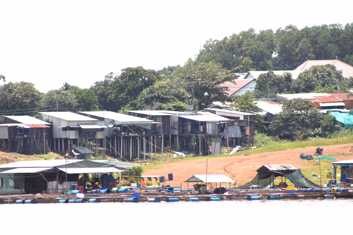 Đồng Nai: Hai Việt kiều về từ Campuchia được cấp Chứng nhận căn cước Dong Nai: Hai Viet kieu ve tu Campuchia duoc cap Chung nhan can cuoc