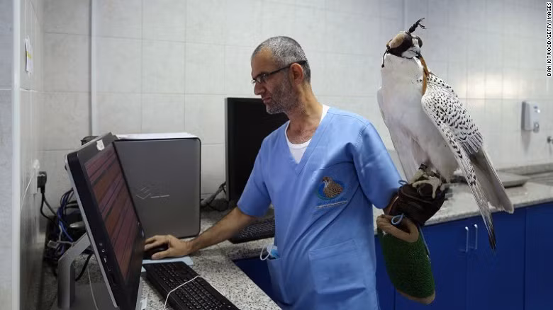Bà Müller cho biết: “Bạn cần có trực giác đặc biệt để hiểu được chúng muốn gì, cần gì. Bạn phải cảm nhận được điều đó, chỉ thế mới có thể trở nên giỏi giang trong ngành này”.