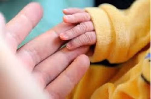 Kết quả giám định ADN cho thấy người đàn ông bị kiện là cha của một trong hai đứa trẻ sinh đôi nhưng... không phải cha đứa còn lại. Trước phiên tòa, người phụ nữ đành thú nhận có quan hệ với cả 2 người đàn ông trong khoảng thời gian độ 1 tuần.