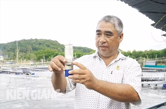 Nuôi tôm công nghiệp, một nông dân Kiên Giang thu lãi 700 triệu đồng/vụ Nuoi tom cong nghiep, mot nong dan Kien Giang thu lai 700 trieu dong/vu