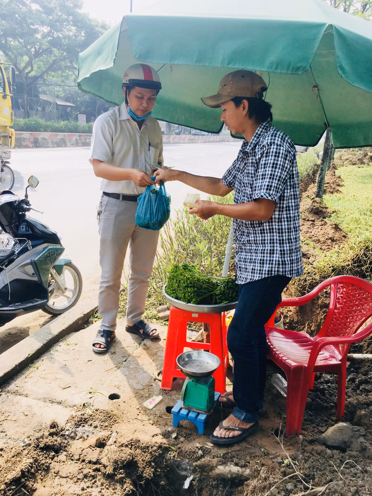 Giá rau choại dao động từ 30.000 đến 40.000 đồng 1 kg.