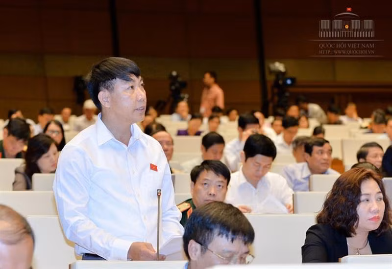 DBQH: “Neu tran lan, con ca to lot, chung ta toan bat con ca nho”