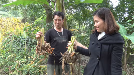 Ngo ngang dat ngheo Van Mong: Duong em, xe bon, dan kham kha-Hinh-3