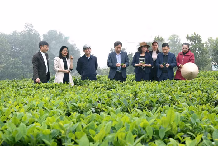 Ha Noi phat trien nong nghiep do thi, huong toi kinh te xanh