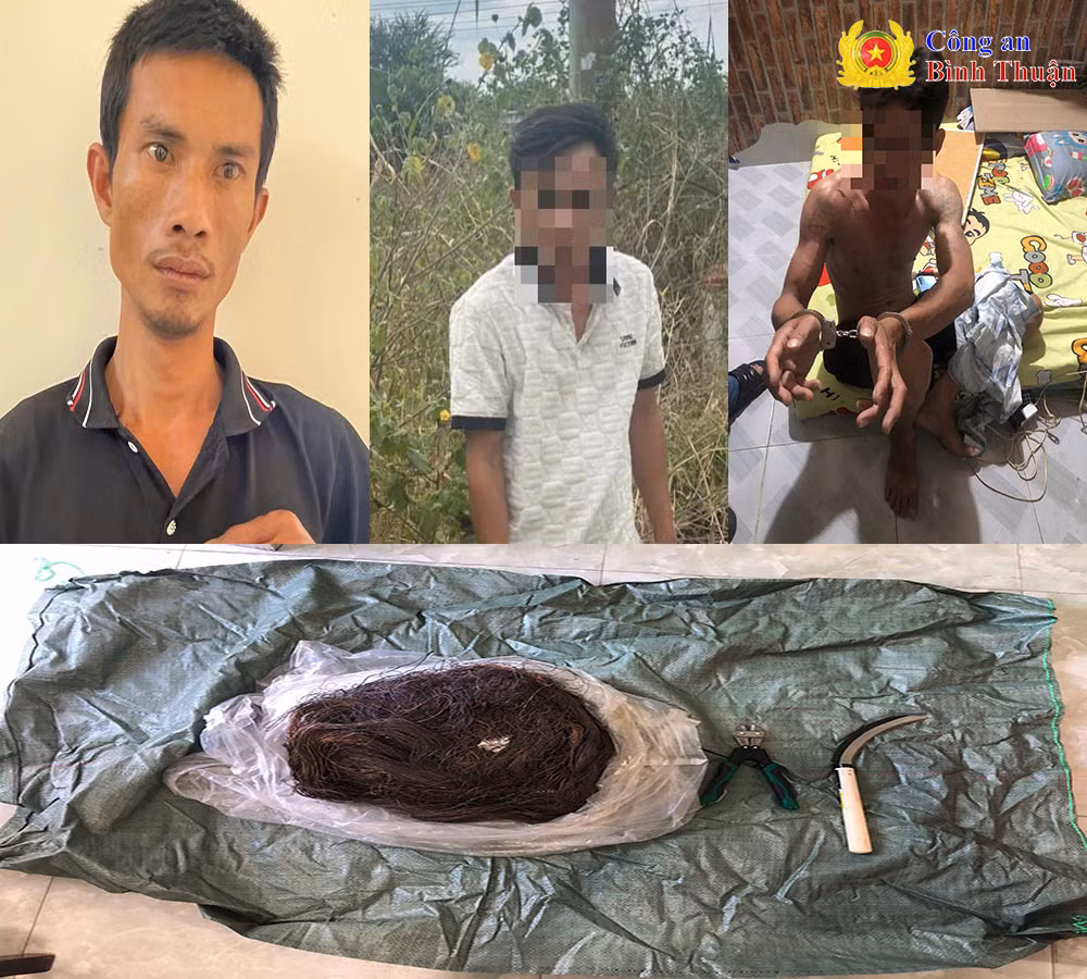 Nhóm đối tượng chuyên trộm cáp viễn thông ở Bình Thuận sa lưới Nhom doi tuong chuyen trom cap vien thong o Binh Thuan sa luoi