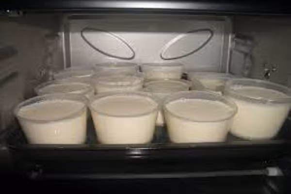 Bước cuối cùng là ủ sữa chua. Nếu bạn ủ bằng lò nướng thì hãy bật lò trong 10 phút với nhiệt độ 100 độ C rồi tắt bếp. Sau đó, xếp sữa chua ra khay có nước xâm xấp và ủ khoảng 6 – 8 tiếng là được.