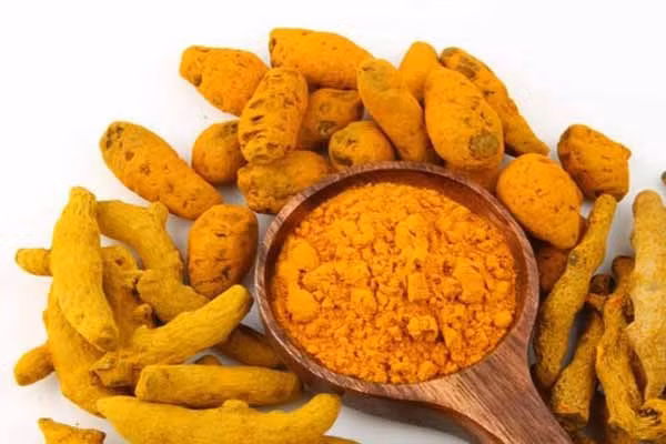 5. Nghệ. Với ẩm thực Ấn Độ thì nghệ là loại gia vị đặc trưng. Ngoài các đặc tính chống viêm, thành phần hoạt chất của củ nghệ - curcumin, giúp đốt cháy chất béo, thúc đẩy sự trao đổi chất thích hợp. Củ nghệ cũng hỗ trợ tiêu hóa bằng cách phá bỏ các loại thực phẩm giàu protein và ngăn ngừa sự hình thành khí hư.