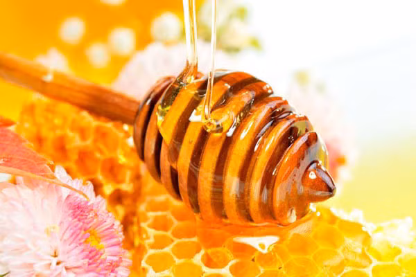 5. Mật ong. Thêm một thìa mật ong vào trà thảo dược, vì một số glucose trong mật ong sẽ ngăn chặn những hoocmon thèm ăn. Mật ong giúp giải độc, thúc đẩy sự trao đổi chất, đốt cháy lượng mỡ thừa trong cơ thể giúp cho bụng bạn thon gọn. Mật ong rất ít calo nên không lo bị tích trữ năng lượng. 