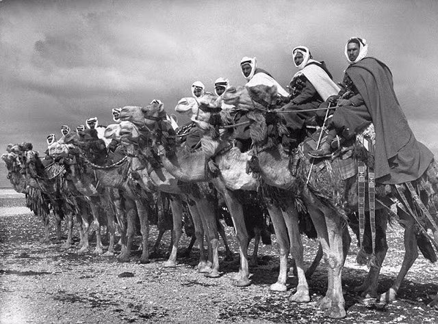 Nhóm "kỵ binh lạc đà" Bedouin ở Syria năm 1940.