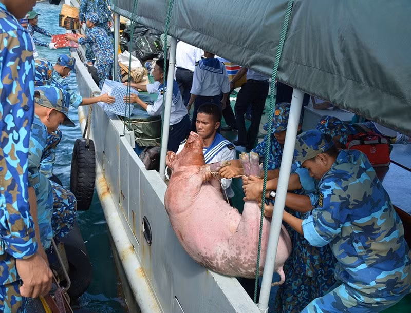 Những chuyến hàng đầu tiên đã cập bến đảo Trường Sa, mang theo đầy đủ một cái Tết trọn vẹn cho những người lính xa nhà đang đóng quân tại đây. Nguồn ảnh: QDND.