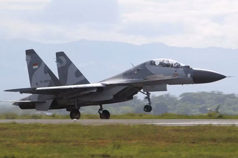 Mặc dù vậy, chủ lực của Không quân Indonesia vẫn là các chiến đấu cơ F-16 được lực lượng này mua từ Mỹ và các tiêm kích Hawk 2000 được nước này mua từ Anh với quân số vượt trội lần lượt là 33 và 24 chiếc.