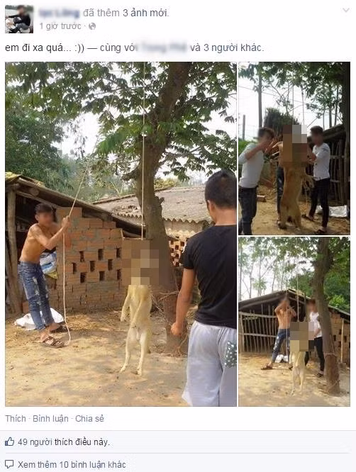 Dam trai làng treo co cho len cay, dan mạng soi sục