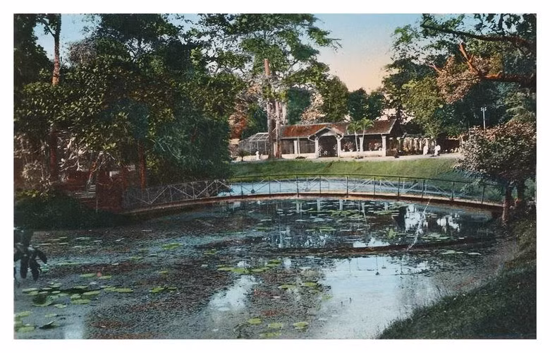 Hồ sen trong Thảo Cầm Viên.