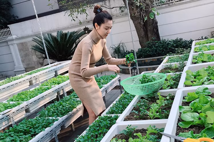 Ngọc Duyên tiết lộ niềm vui hái rau, làm cơm cho chồng.