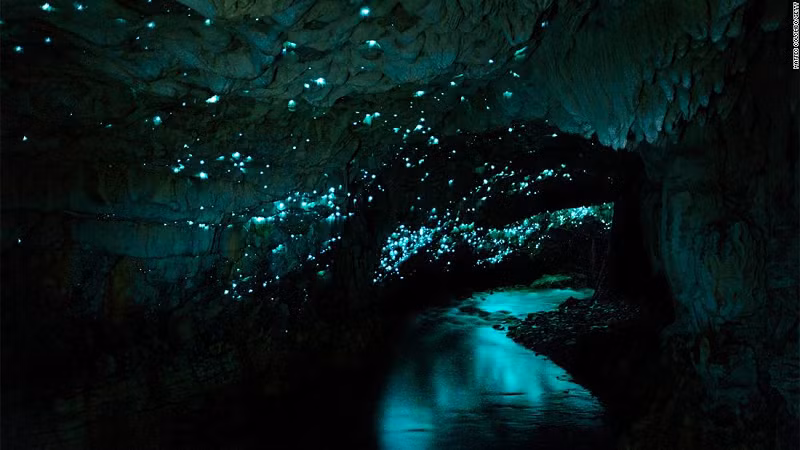  2. Hang đá vôi Waitomo, New Zealand: Bên trong hang động đá vôi này có những cảnh tượng vô cùng kỳ diệu được tạo ra bởi vô số ánh sáng bí ẩn. Ánh sáng này thực chất chính là những con đom đóm.
