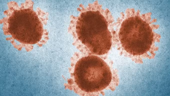 Năm 2023, nhà tiên tri Athos Salomé còn cho rằng sẽ xuất hiện một loại "virus thây ma" tại Nam Cực. Tuy nhiên, anh chưa thể nhìn thấu được sức tàn phá của loại virus này nên không rõ nó có ảnh hưởng đến cuộc sống của con người hay không, liệu có khả năng gây ra một đại dịch kinh hoàng như COVID-19 hay không.