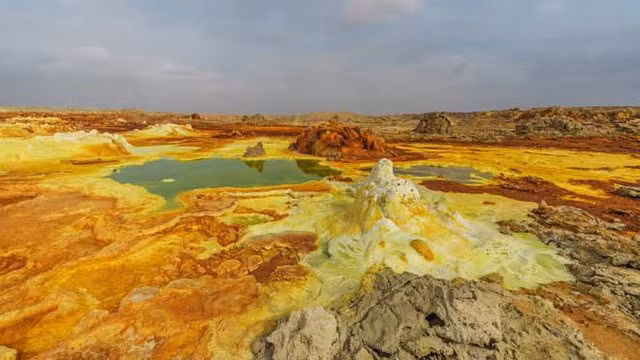 Con người cũng không thể lại gần Dallol vì đây là khu vực cực độc. Chất độc đến từ khí gas độc, phản ứng suối nước nóng bão hòa với muối cũng độc và ở dưới còn có cả núi lửa không biết bao giờ sẽ bùng nổ. Vì vậy mà chỉ có các khoa học mới có thể tiếp cận Dallol.