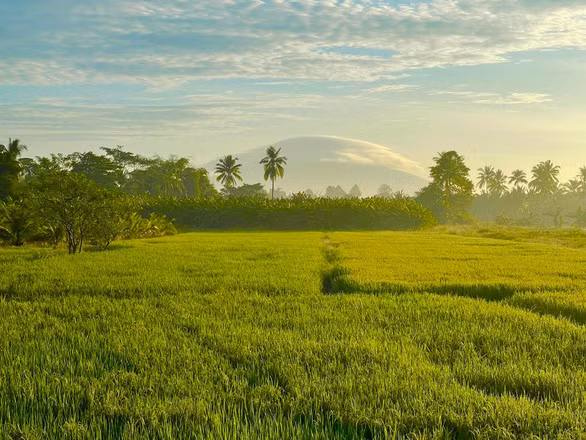 Ngoài ra, một biểu hiện khác của sóng núi là hình thành những phiến mây giống như các hạt hạnh nhân xếp đều đặn thành một dãy. "Sóng núi không xuất hiện thường xuyên nhưng cũng không quá hiếm và cũng chưa ghi nhận sự kiện gì đặc biệt sau khi nó xuất hiện" - ông Huy giải thích.