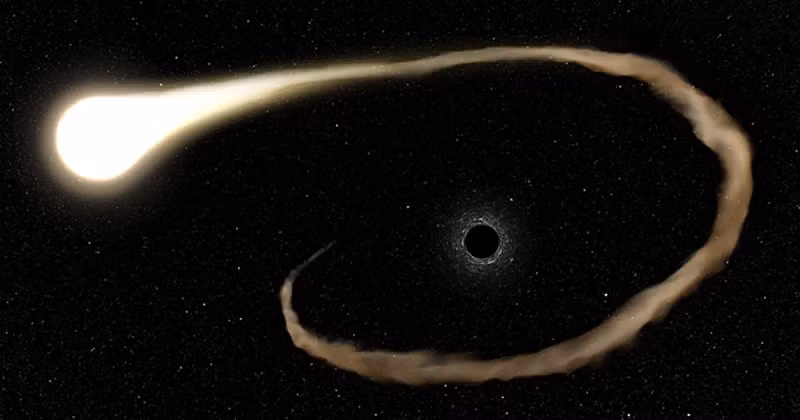 Tờ Space dẫn lời nhà nghiên cứu Emily Engelthaler từ trung tâm Vật lý thiên văn Havard-Smithsonian (CfA) cho biết việc quan sát các TDE dưới ánh sáng cực tím vẫn còn rất hiếm. Đó là một kho báu đối với các nhà khoa học, bởi quang phổ cực tím vốn tiết lộ rất nhiều dữ liệu về vật thể.