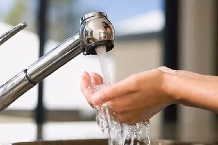 Một mặt đặc tính kỵ nước của nó cho phép nước chảy trong ống nhanh hơn, mặt khác, các gai nano siêu nhỏ có thể giết chết vi khuẩn và thanh trùng nước.