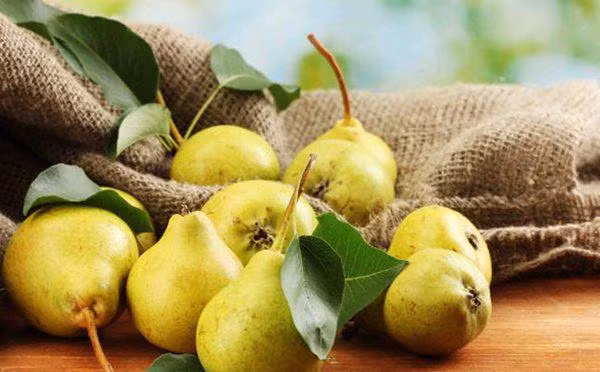 Ăn nhiều lê sẽ khiến tình trạng bệnh của bệnh nhân thận trở nên trầm trọng hơn, tốt nhất là tránh xa.