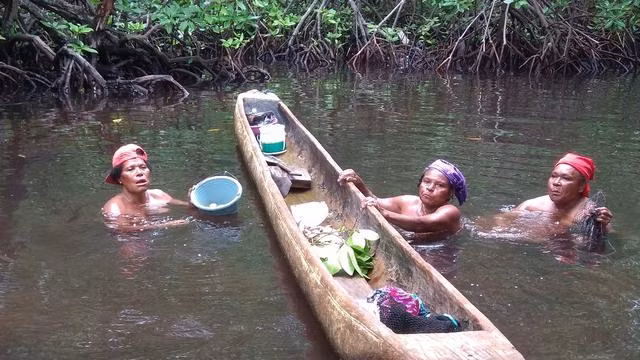 Thêm vào đó, các thành phố xung quanh sử dụng du lịch làm phương tiện phát triển, dẫn đến tình trạng ô nhiễm rác thải, khí thải nhà máy, ô nhiễm kim loại nặng ngày một tồi tệ hơn, gây ra thiệt hại nghiêm trọng cho hệ sinh thái.