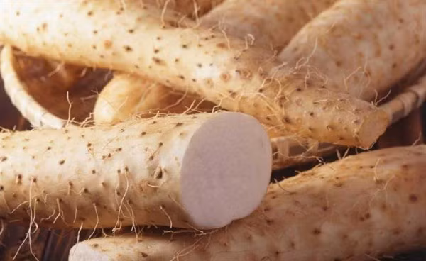 Ngoài ra, xào củ mài cũng được khuyến khích vì xào nhanh sẽ hạn chế tối đa việc mất đi các chất dinh dưỡng như tinh bột, glycoprotein, axit amin, chất nhầy, choline và vitamin có trong củ mài.