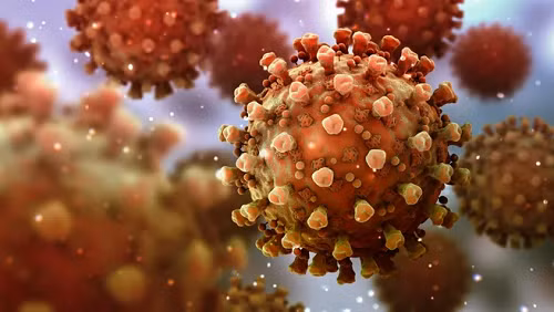 Bien the JN.1 cua virus SARS-CoV-2 tang nhanh, co dang lo ngai?