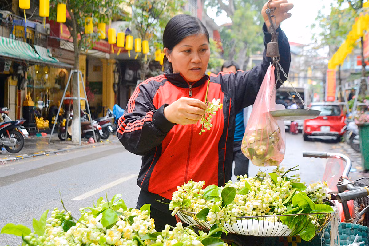 Những xe hàng rong chở đầy hoa bưởi đầu mùa. Những xe hàng rong chở đầy hoa bưởi đầu mùa.